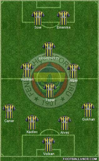 Fenerbahçe SK Formation 2013