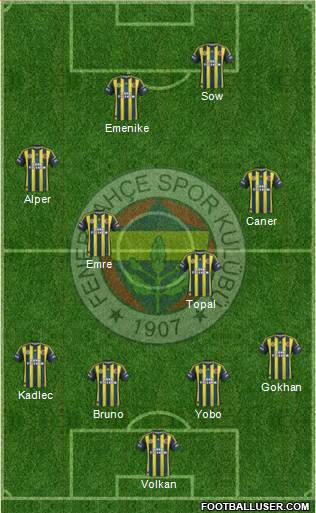 Fenerbahçe SK Formation 2013