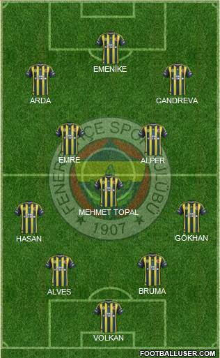 Fenerbahçe SK Formation 2013