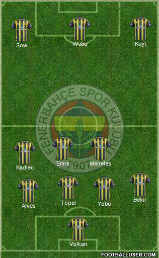 Fenerbahçe SK Formation 2013