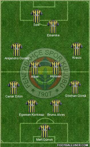 Fenerbahçe SK Formation 2013