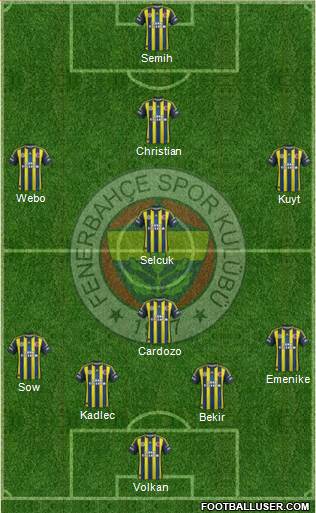 Fenerbahçe SK Formation 2013