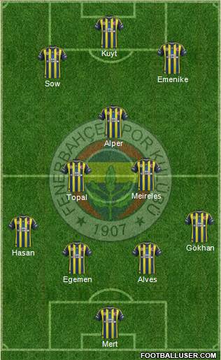 Fenerbahçe SK Formation 2013