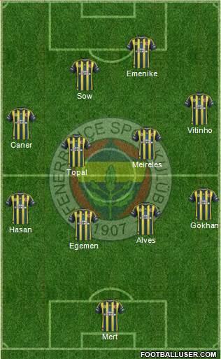 Fenerbahçe SK Formation 2013