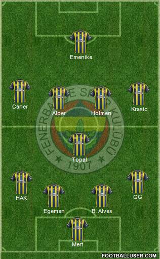 Fenerbahçe SK Formation 2013