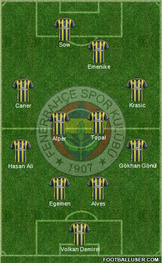 Fenerbahçe SK Formation 2013