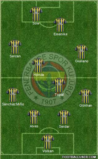 Fenerbahçe SK Formation 2013