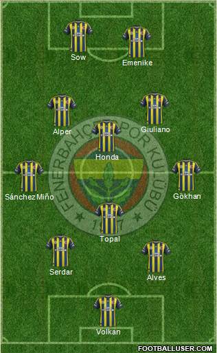 Fenerbahçe SK Formation 2013