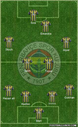 Fenerbahçe SK Formation 2013