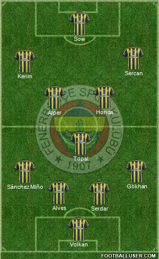 Fenerbahçe SK Formation 2013