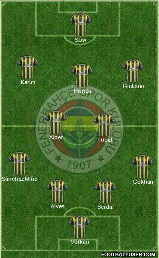 Fenerbahçe SK Formation 2013