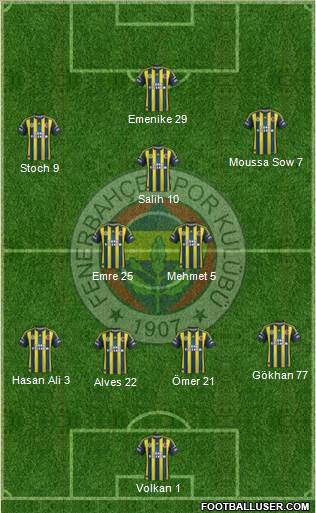 Fenerbahçe SK Formation 2013