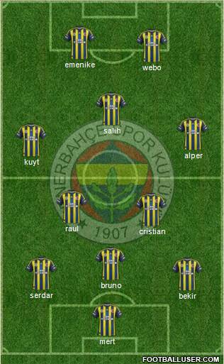 Fenerbahçe SK Formation 2013