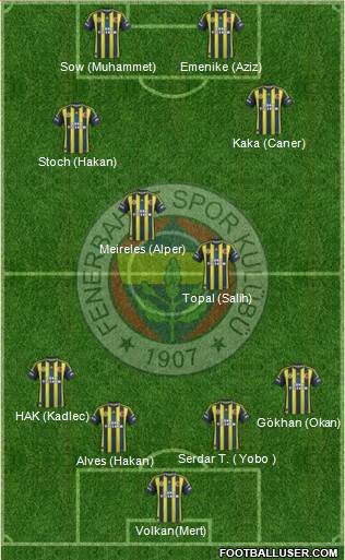 Fenerbahçe SK Formation 2013