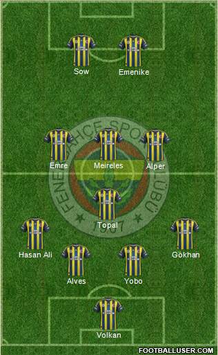 Fenerbahçe SK Formation 2013