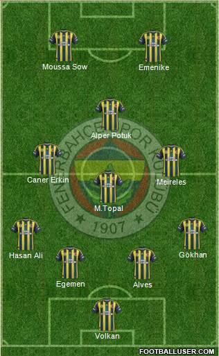 Fenerbahçe SK Formation 2013