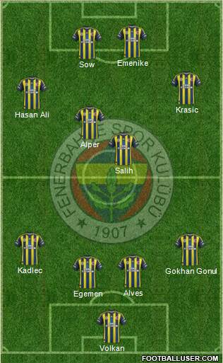 Fenerbahçe SK Formation 2013