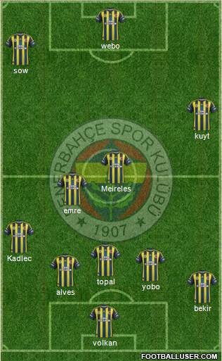 Fenerbahçe SK Formation 2013