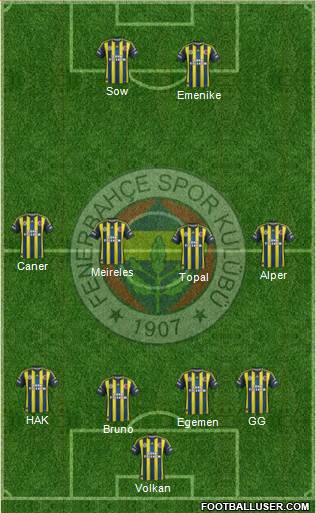 Fenerbahçe SK Formation 2013