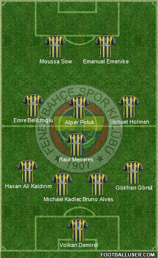 Fenerbahçe SK Formation 2013