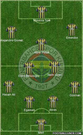 Fenerbahçe SK Formation 2013