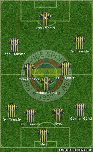 Fenerbahçe SK Formation 2013