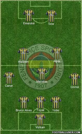 Fenerbahçe SK Formation 2013