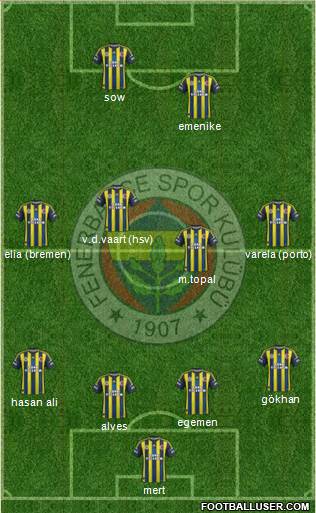 Fenerbahçe SK Formation 2013