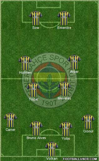 Fenerbahçe SK Formation 2013