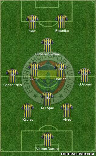 Fenerbahçe SK Formation 2013