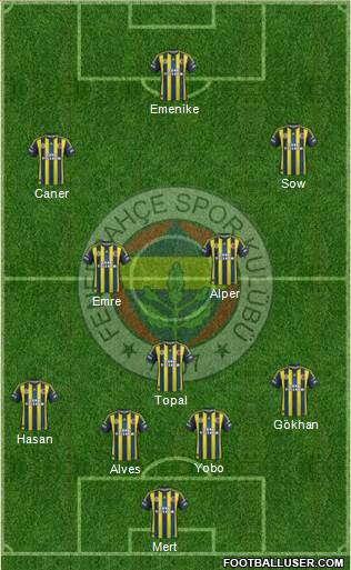 Fenerbahçe SK Formation 2013