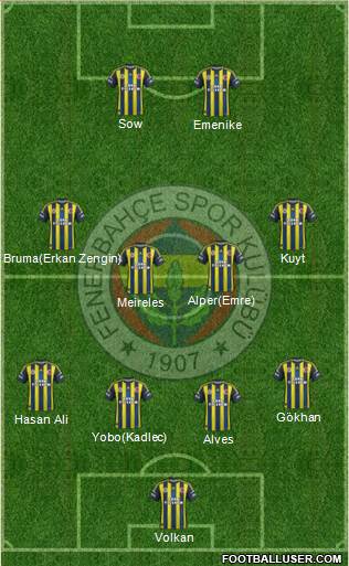 Fenerbahçe SK Formation 2013