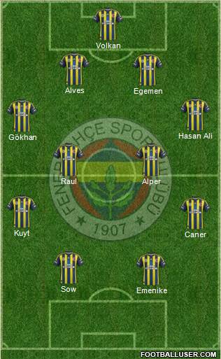 Fenerbahçe SK Formation 2013