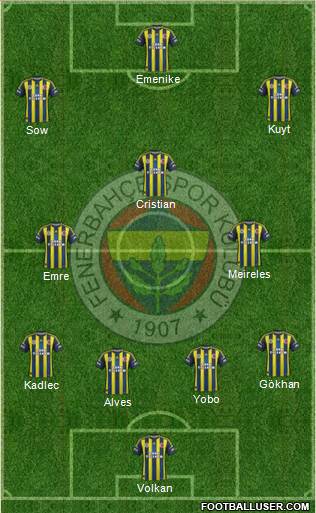 Fenerbahçe SK Formation 2013