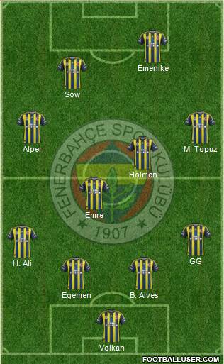 Fenerbahçe SK Formation 2013