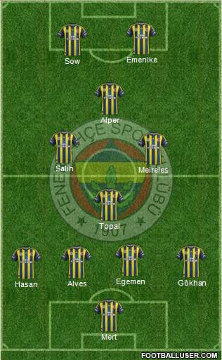 Fenerbahçe SK Formation 2013