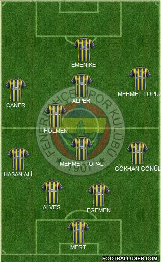 Fenerbahçe SK Formation 2013