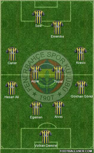 Fenerbahçe SK Formation 2013