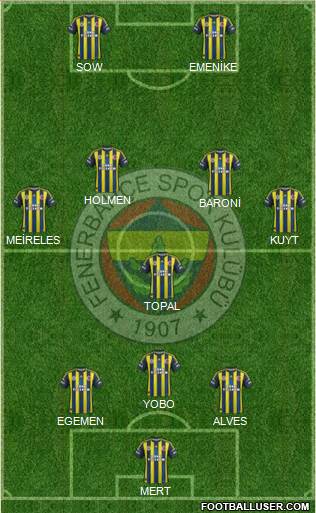 Fenerbahçe SK Formation 2013