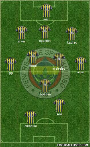 Fenerbahçe SK Formation 2013