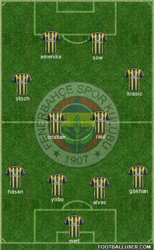 Fenerbahçe SK Formation 2013