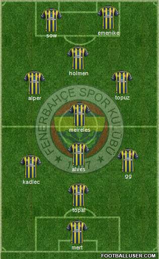 Fenerbahçe SK Formation 2013