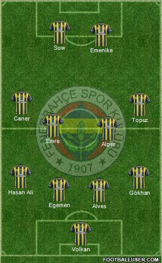 Fenerbahçe SK Formation 2013