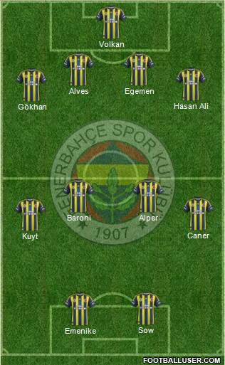 Fenerbahçe SK Formation 2013