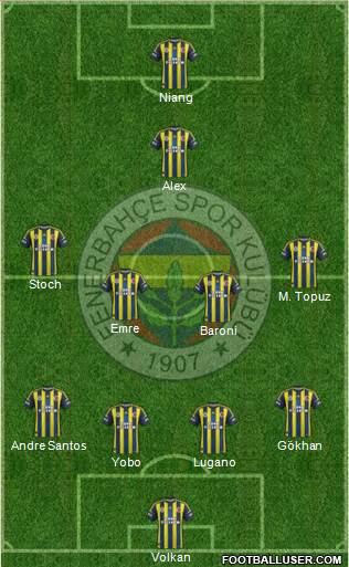 Fenerbahçe SK Formation 2013