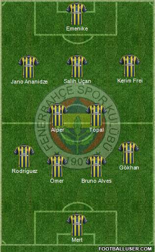 Fenerbahçe SK Formation 2013