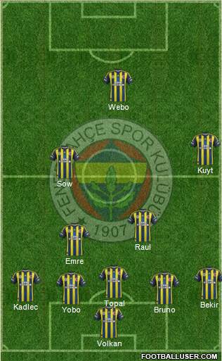 Fenerbahçe SK Formation 2013