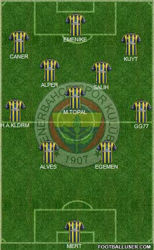 Fenerbahçe SK Formation 2013