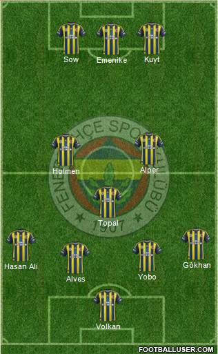 Fenerbahçe SK Formation 2013