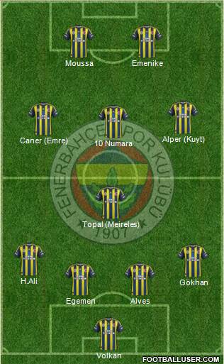 Fenerbahçe SK Formation 2013